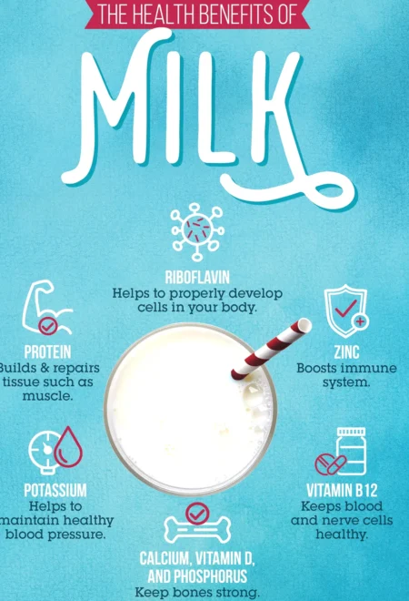 Moo-ve Over Myths: What Happens When You Drink Milk Every Day? in 2024